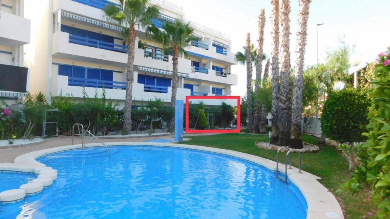 Coral House - La Calma - Playa Flamenca - Big Terrace & 4 Swimming Pools. Apartment Bagian luar foto