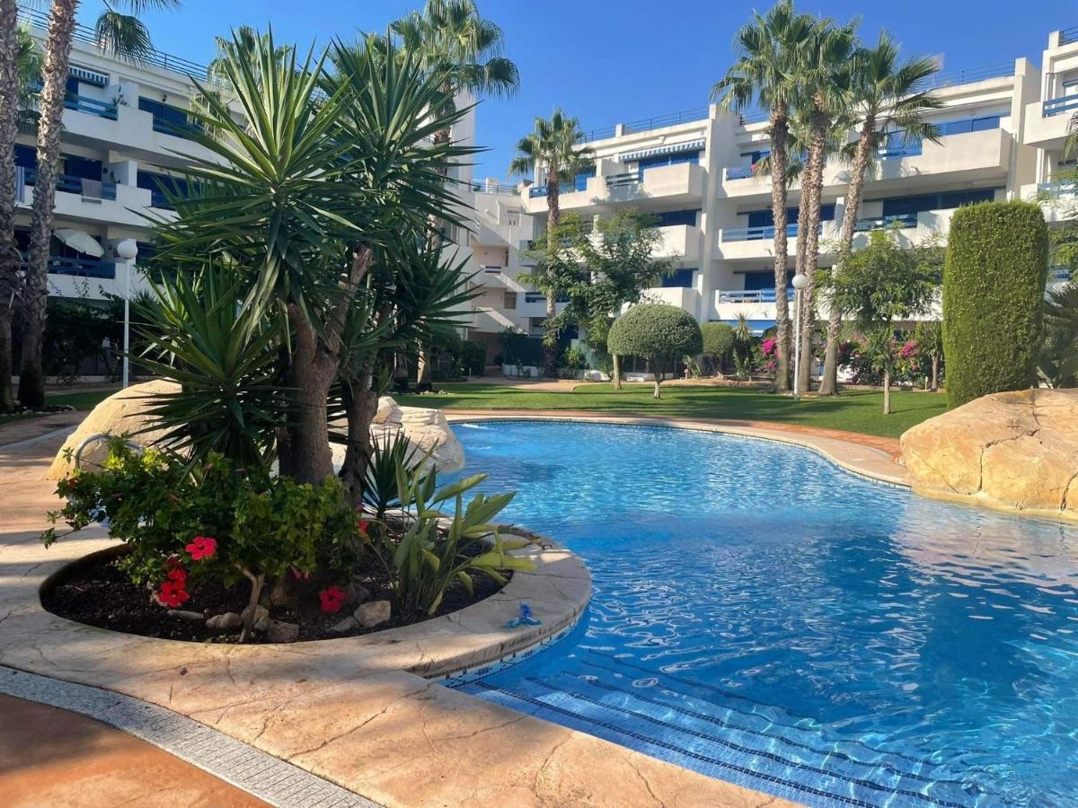 Coral House - La Calma - Playa Flamenca - Big Terrace & 4 Swimming Pools. Apartment Bagian luar foto