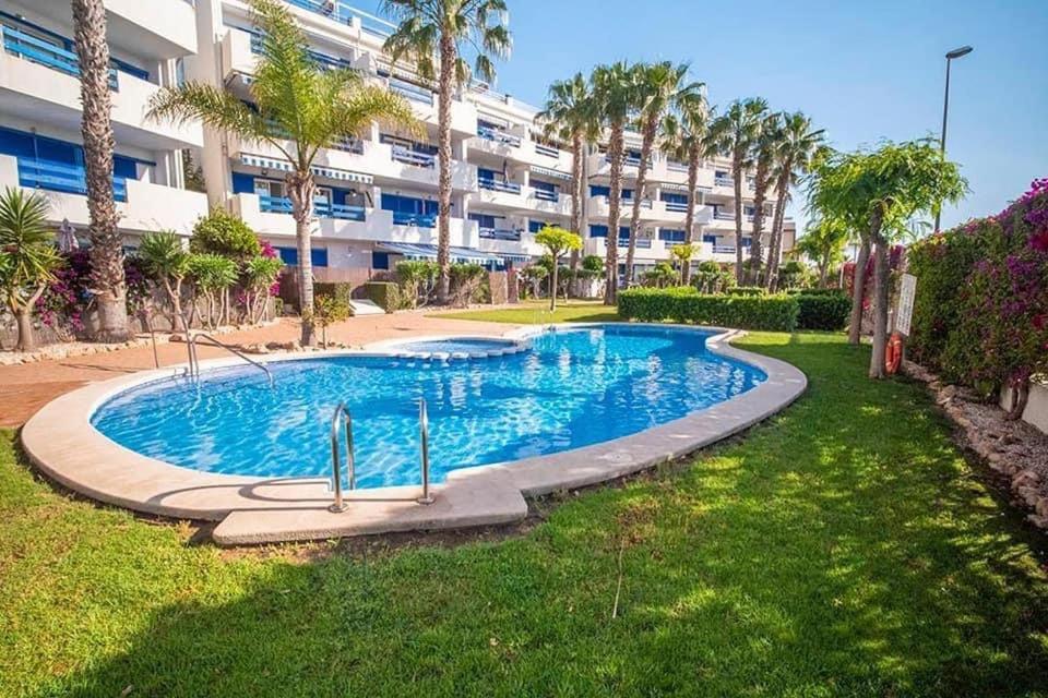Coral House - La Calma - Playa Flamenca - Big Terrace & 4 Swimming Pools. Apartment Bagian luar foto